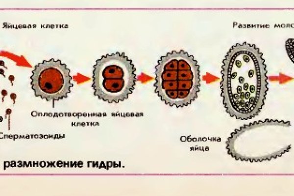 Кракен даркнет вход